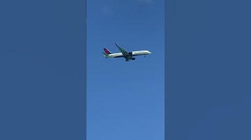 DELTA smooth descends to LPIA  II  momiBetzAlcaraz Official           #shorts #shortvideo #ytshorts