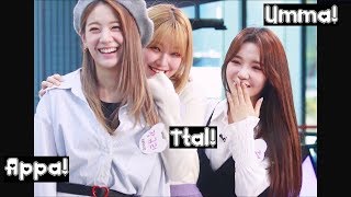 Fromis9 Gyulsun Moments Ft. Baby Jiheon Gyuri 장규리 Jisun 노지선 - 프로미스나인 Oh My Girl Medley Fmv