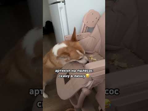 В прикорме это лучшая вещь😂 #декрет #грудничок #мамавдекрете #мама