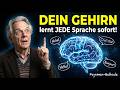 Warum dein Gehirn Sprachen sofort aufnehmen kann – Die Feynman-Methode erklärt