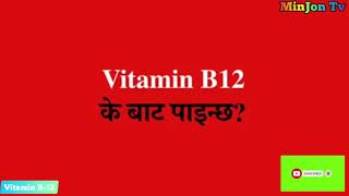 Vitamin B - 12 को कमि हुँदा के हुन्छ? के मा पाईन्छ?