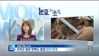 모닝와이드 131016 #7(1)
