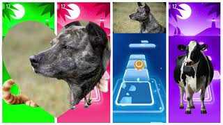 Animal Tiles Hop Battle 🐱🐴🐶🐮 | Cat vs Horse vs Dog vs Cow | CRAZY SPEED 🔥