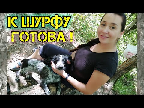 ЭТИ ЦАРСКИЕ МОНЕТЫ ОДНОЗНАЧНО ПОДТОЛКНУЛИ НА ШУРФ СТАРОГО ДОМА