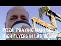 Roaming Las Vegas Travel Vlog