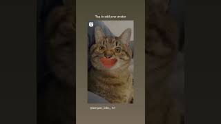 Billi And Billa Romantic Seen Billa