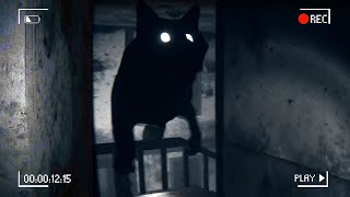 NIGHT PEOPLE | NE REGARDEZ PAS CETTE VIDÉO SI VOUS AVEZ LE COEUR FRAGILE !!! screenshot 5