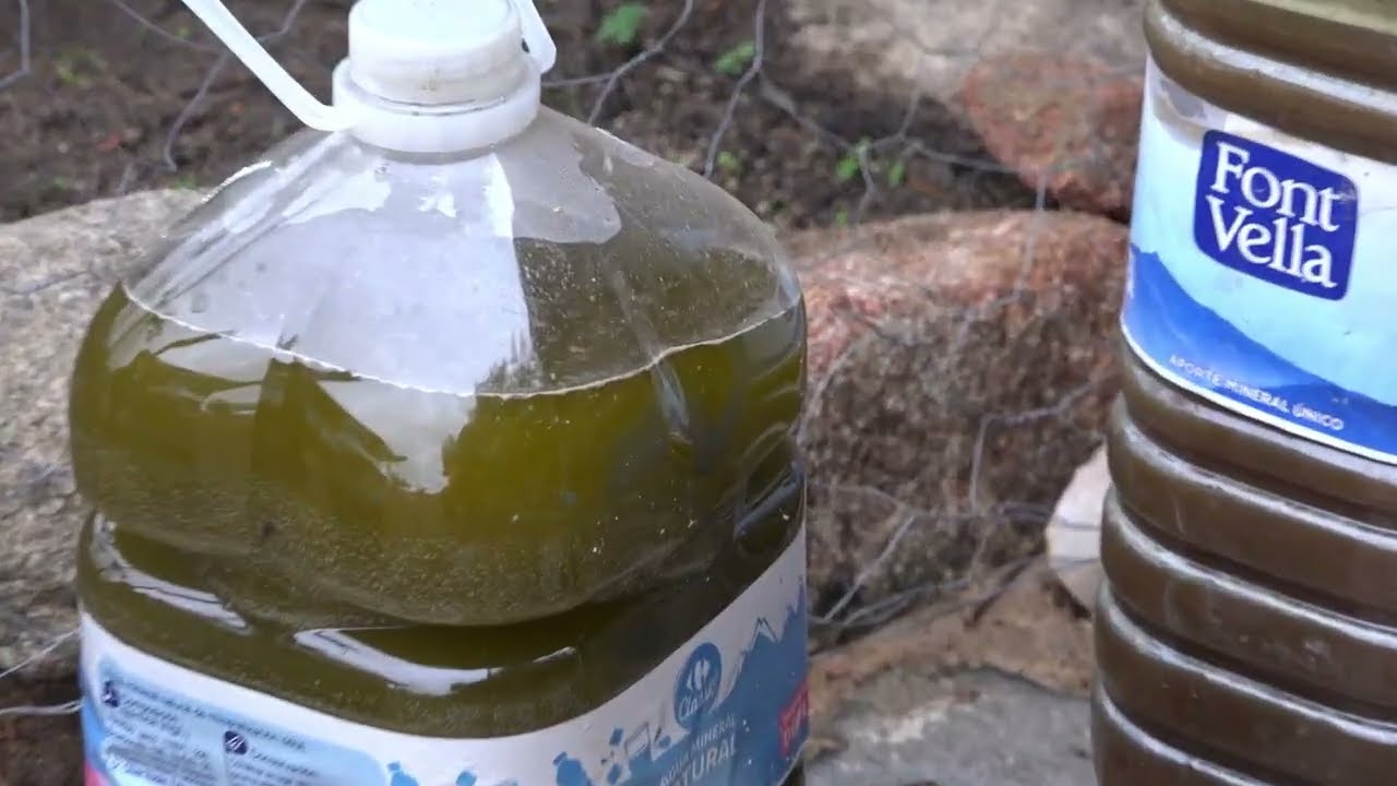 Decantando Aceite