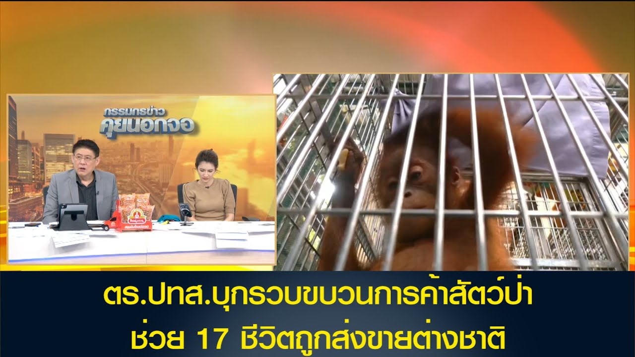 ตร.ปทส.บุกรวบขบวนการค้าสัตว์ป่า ช่วย 17 ชีวิตถูกส่งขายต่างชาติ