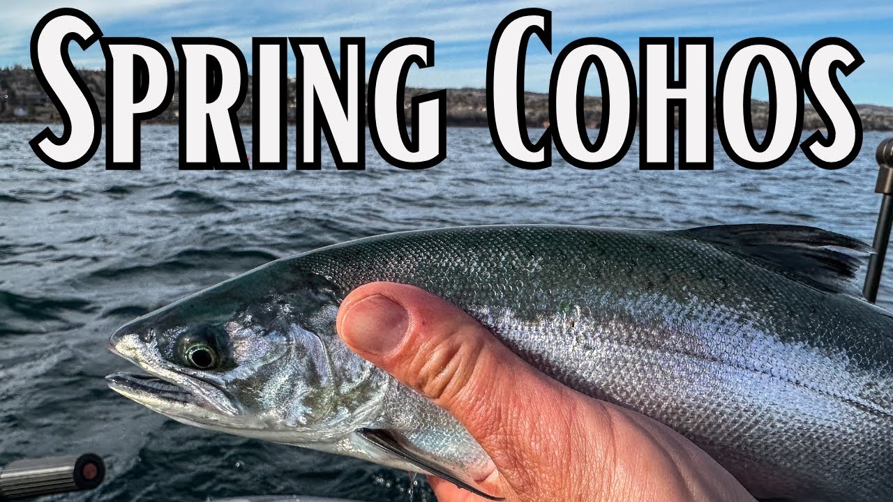 Простой способ поймать БОЛЬШЕ кижуча на озере Верхнее ранней весной!