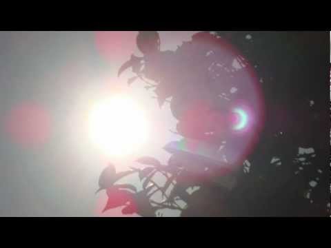 Solar Eclipse - May 20 2012 - Strange Phenomenon Caught  - Oakland CA