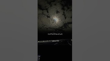 قران كريم||القارئ محمد النقيدان
