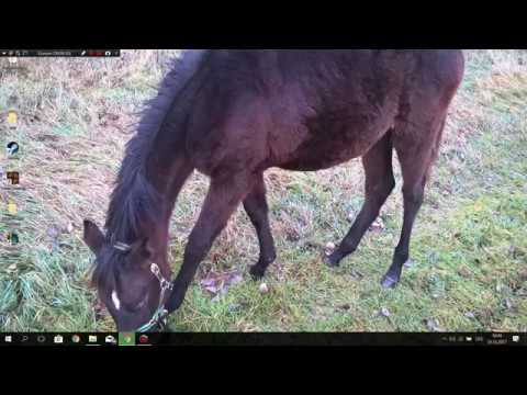 poslední video na tomto kanále :(