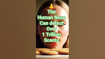 Your Nose Detects Over 1 Trillion Scents 👃✨ #facts #amazing #science #viral