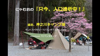 2021.3.14.神之川キャンプ場