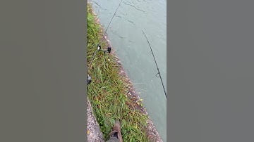 Nee joh.. dit geloof je toch niet 🤯