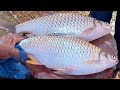 Popular Big Putti Fish Cutting In Fish Market Bangladesh | Fish Cutting Skills