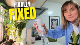 The Renovation Mistake I Couldn't Ignore in Japan