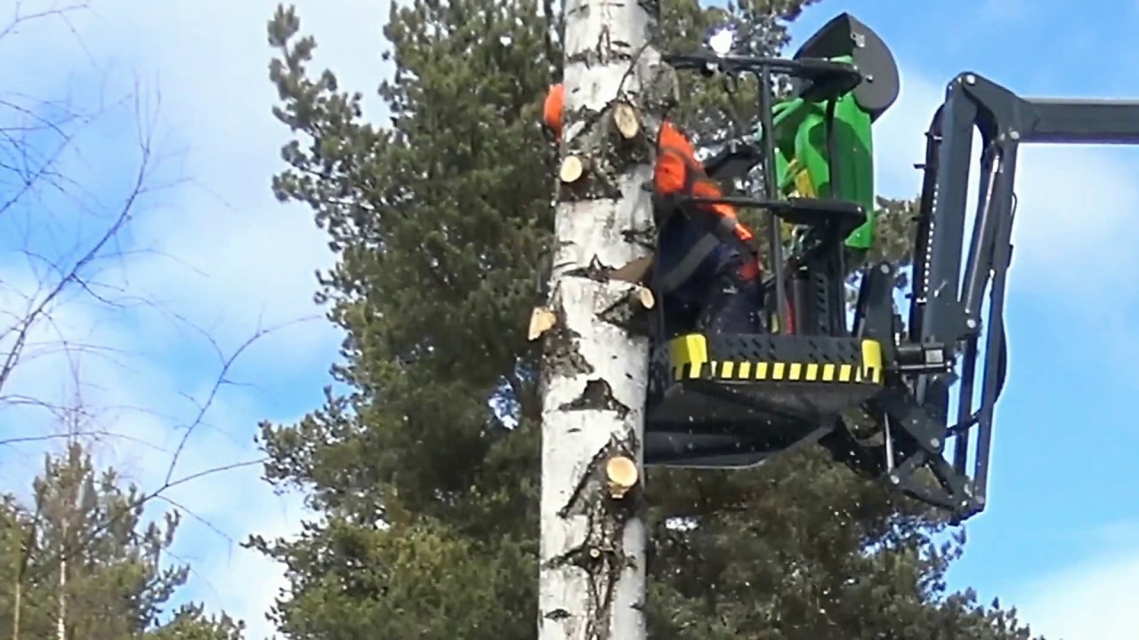 Leguan Lifts in action: Arborist felling a tree with L190