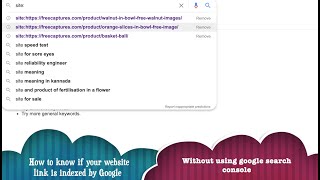 how to check indexing of your website without using Google Search Console | google index website screenshot 2