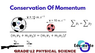 Conservation of linear momentum - Grade 12 Physical Sciences