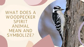 What Does a Woodpecker Spirit Animal Mean and Symbolize