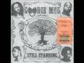goodie mob the experience