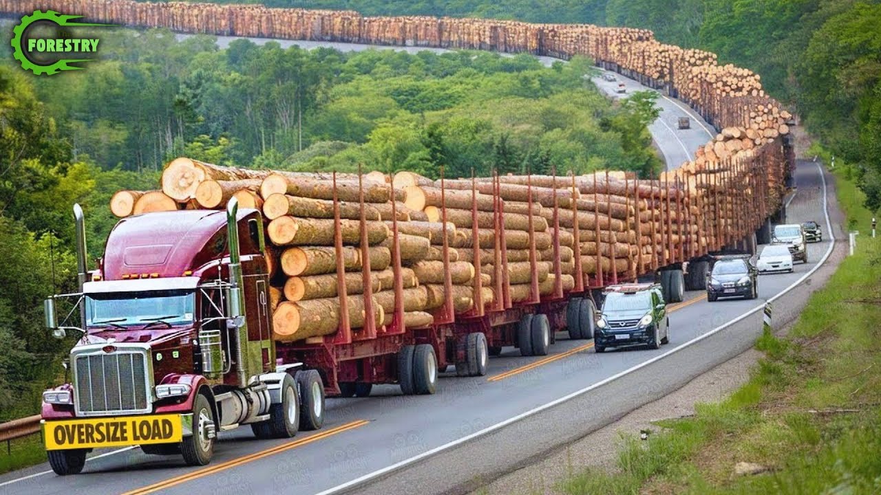 Навыки вождения экстремально опасного лесовоза | Самые быстрые бензопилы для валки деревьев №15