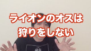「ライオンのオスは狩りをしない」 ねづっち (ニュース)