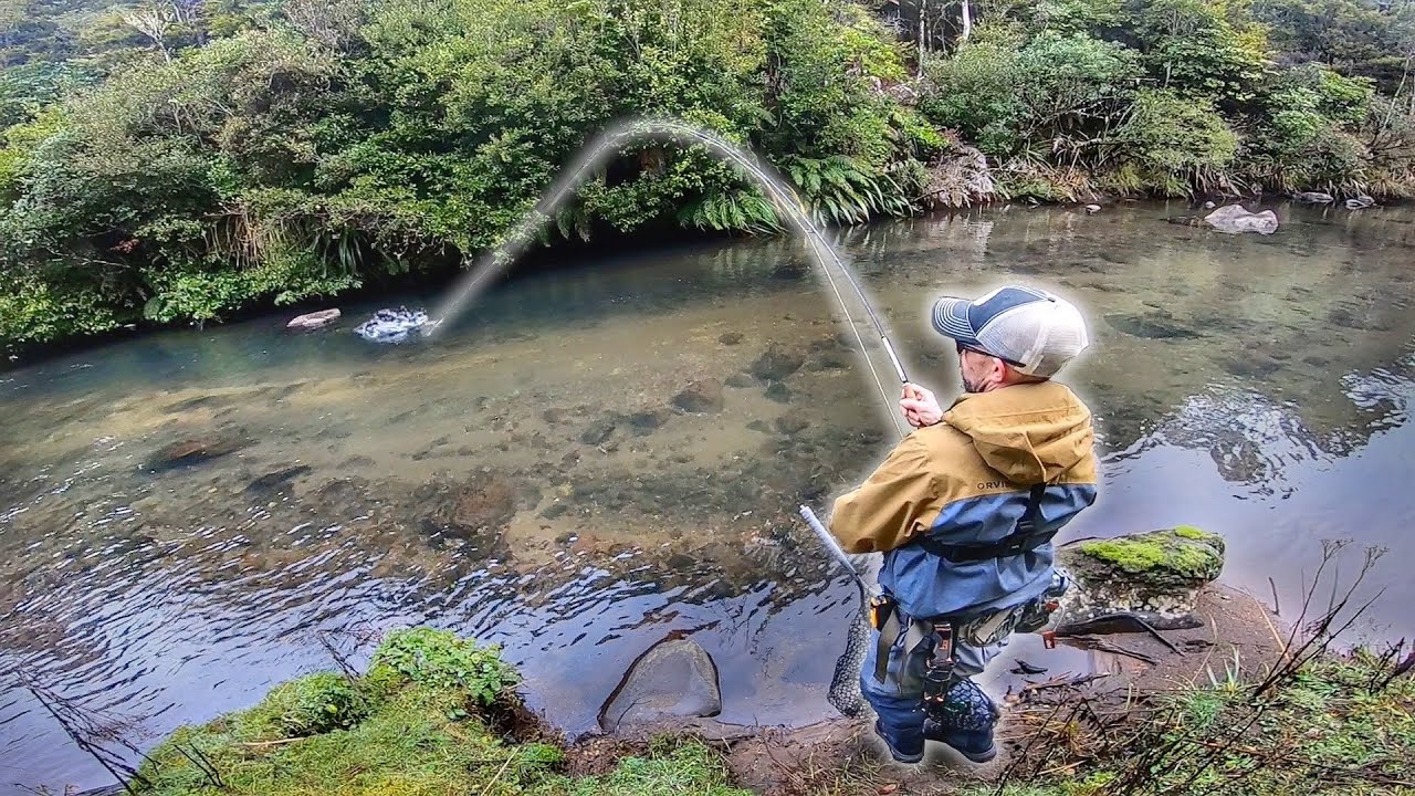 Fly Fishing one of the Best Rivers in the World [part 2] YouTube