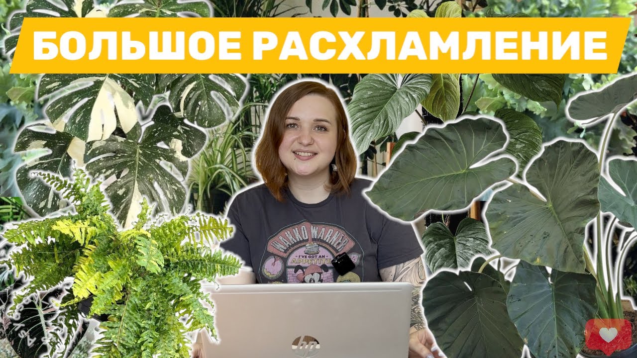 Цветочное РАСХЛАМЛЕНИЕ | Новая зона с РАСТЕНИЯМИ в интерьере