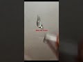 ازاى نرسم دمعة العين painting shorts art daily رسم drawing رصاص learn اكسبلور الوان mp3