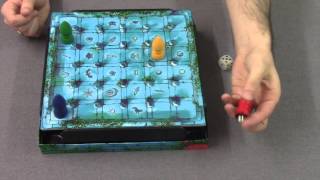 The Magic Labyrinth - A Dice Cup 'how to play' video by Steve Raine