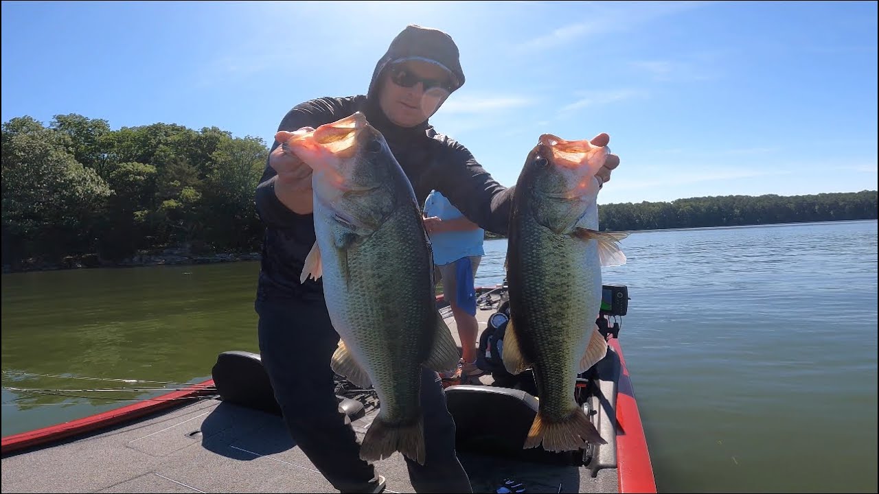Targeting Big Bass with FFS in the Summer