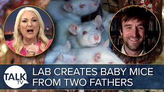 Lab Creates Mice From Two Fathers in scientific breakthrough
