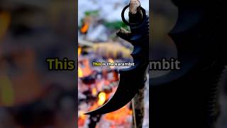 Celebrity The Karambit! Net Worth