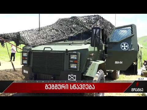 22-ე ბატალიონმა ამოცანაზე ორიენტირებული გეგმური სწავლება გამართა