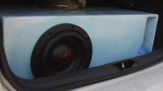 Xtc.eugenes polo vivo - YouTube