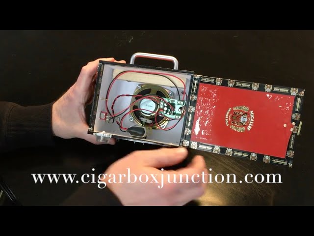cigarette box amplifier 2022 Schloss DIY Cigar Box Amp #1