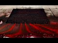 A carpet flowing with unprecedent color satisfying carpet cleaning asmr