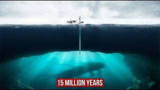 How Scientists Accidentally Discovered Ancient Organisms Under Antarctica