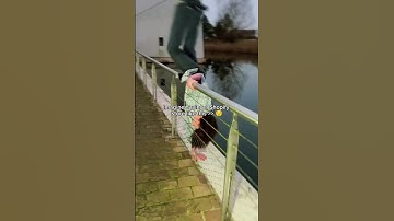 Turn Clicks into Customers with Stunning Shopify Designs 🔥 For services link in bio ✅ #shopify