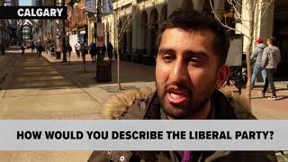 How would you describe the Liberal Party?
