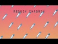 Requin chagrin  adelade