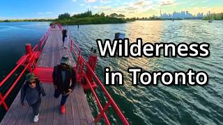 Wilderness in Toronto 🇨🇦 | Hidden Nature at Tommy Thompson Park (Insta360 X4)