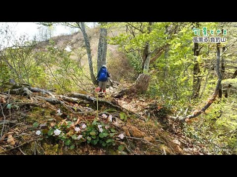 【旬景とやま】風薫る 負釣山