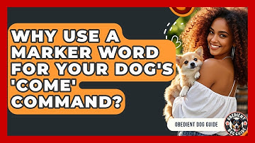 Why Use A Marker Word For Your Dog