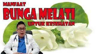 Download Lagu MANFAAT BUNGA MELATI UNTUK KESEHATAN DAN CARA MENGOLAHNYA MP3
