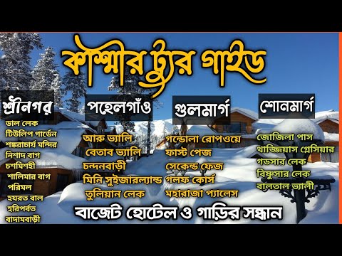 ভিডিও: তুলিয়ান চিভিডজিয়ানের বয়স কত?