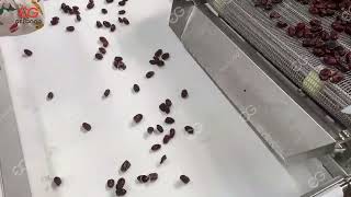 Dates Washer And Grader Machine
